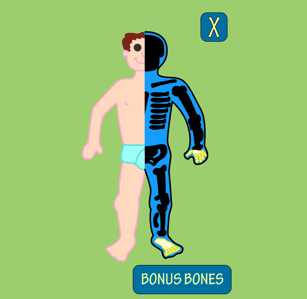 An image of a man bisected. One half shows him in his underpants, the other half shows an x-ray view of him with his bones silhouetted.