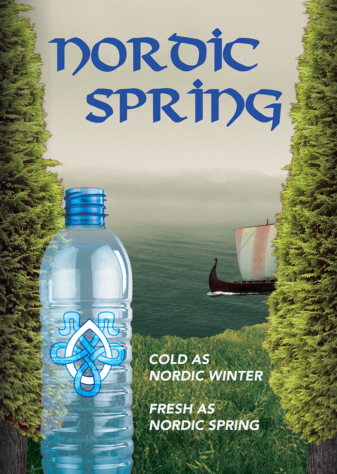 A poster for a water brand showing a bottle in the foreground with a viking longboat sailing on the sea in the background.